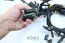 2011 Ski-doo Expedition 600 Etec Main Engine Wiring Harness Chassis 515177017