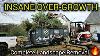 The Property Owner Died We Got Hired For A Complete Landscape Removal Mini Skid Mini Excavator